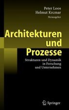 Architekturen Und Prozesse