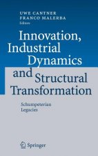Innovation, Industrial Dynamics and Structural Transformation
