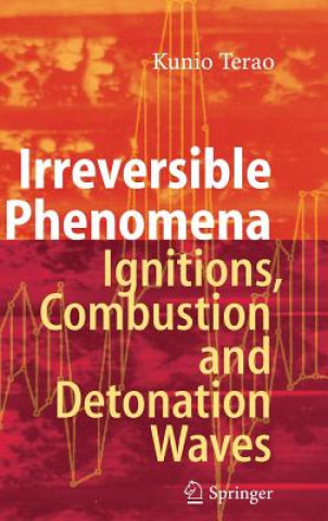 Irreversible Phenomena