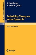 Probability Theory on Vector Spaces IV