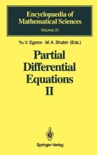 Partial Differential Equations II