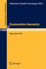 Enumerative Geometry