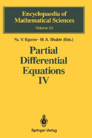 Partial Differential Equations IV