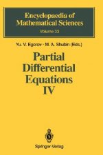 Partial Differential Equations IV