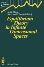 Equilibrium Theory in Infinite Dimensional Spaces