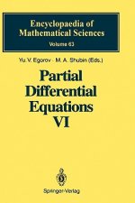 Partial Differential Equations VI