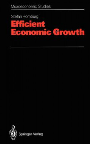 Efficient Economic Growth