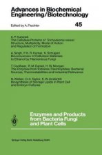 Enzymes and Products from Bacteria Fungi and Plant Cells