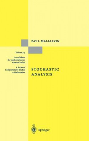 Stochastic Analysis