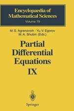 Partial Differential Equations IX