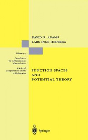 Function Spaces and Potential Theory