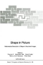 Shape in Picture