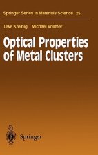 Optical Properties of Metal Clusters