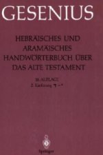 Hebr isches Und Aram isches Handw rterbuch  ber Das Alte Testament