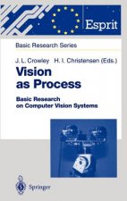 Vision as Process