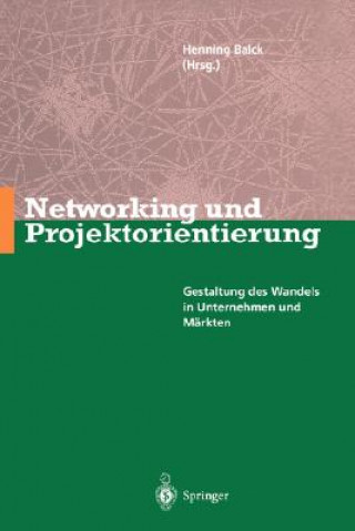 Networking Und Projektorientierung