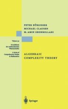 Algebraic Complexity Theory