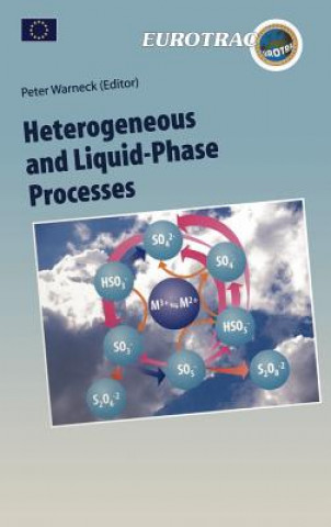 Heterogeneous and Liquid Phase Processes