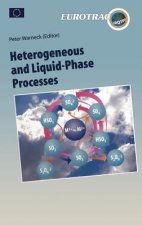 Heterogeneous and Liquid Phase Processes