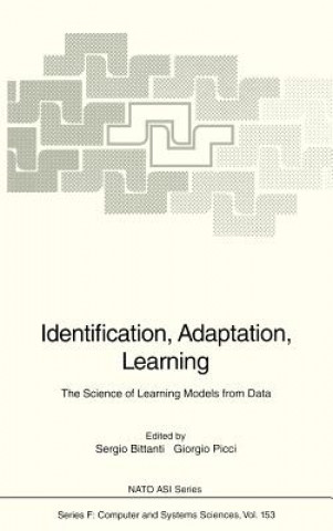 Identification, Adaptation, Learning