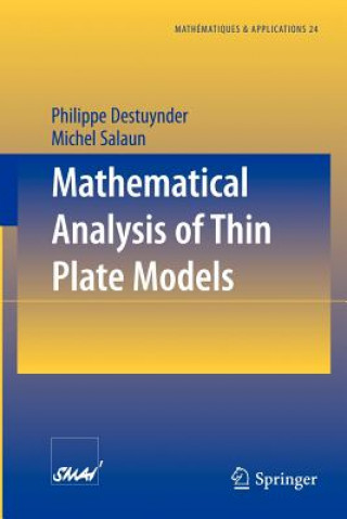 Mathematical Analysis of Thin Plate Models