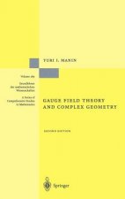 Gauge Field Theory and Complex Geometry
