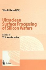 Ultraclean Surface Processing of Silicon Wafers