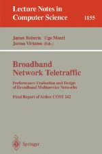 Broadband Network Traffic