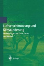 Luftverschmutzung und Klimaänderung