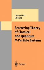 Scattering Theory of Classical and Quantum N-Particle Systems