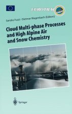 Cloud Multi-phase Processes and High Alpine Air and Snow Chemistry