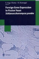 Foreign Gene Expression in Fission Yeast: Schizosaccharomyces pombe