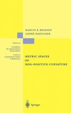 Metric Spaces of Non-Positive Curvature