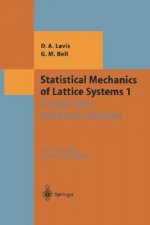 Statistical Mechanics of Lattice Systems