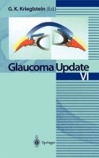 Glaucoma Update VI
