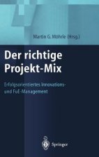 Der Richtige Projekt-Mix