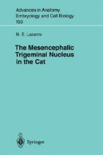Mesencephalic Trigeminal Nucleus in the Cat