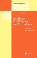 Nonlinear MHD Waves and Turbulence