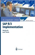 SAP R/3 Implementation