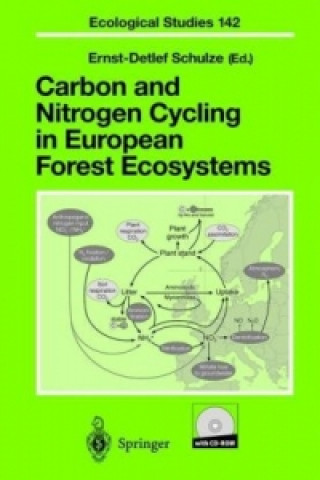 Carbon and Nitrogen Cycling in European Forest Ecosystems, w. CD-ROM