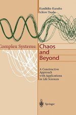 Complex Systems: Chaos and Beyond