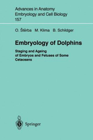 Embryology of Dolphins