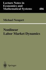 Nonlinear Labor Market Dynamics