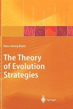Theory of Evolution Strategies