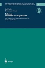 Erdbeden -- Instabilitat Von Megastadten