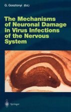 Mechanisms of Neuronal Damage in Virus Infections of the Nervous System