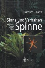 Sinne Und Verhalten: Aus Dem Leben Einer Spinne