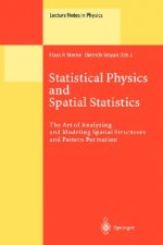 Statistical Physics and Spatial Statistics