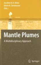 Mantle Plumes