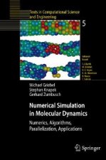 Numerical Simulation in Molecular Dynamics